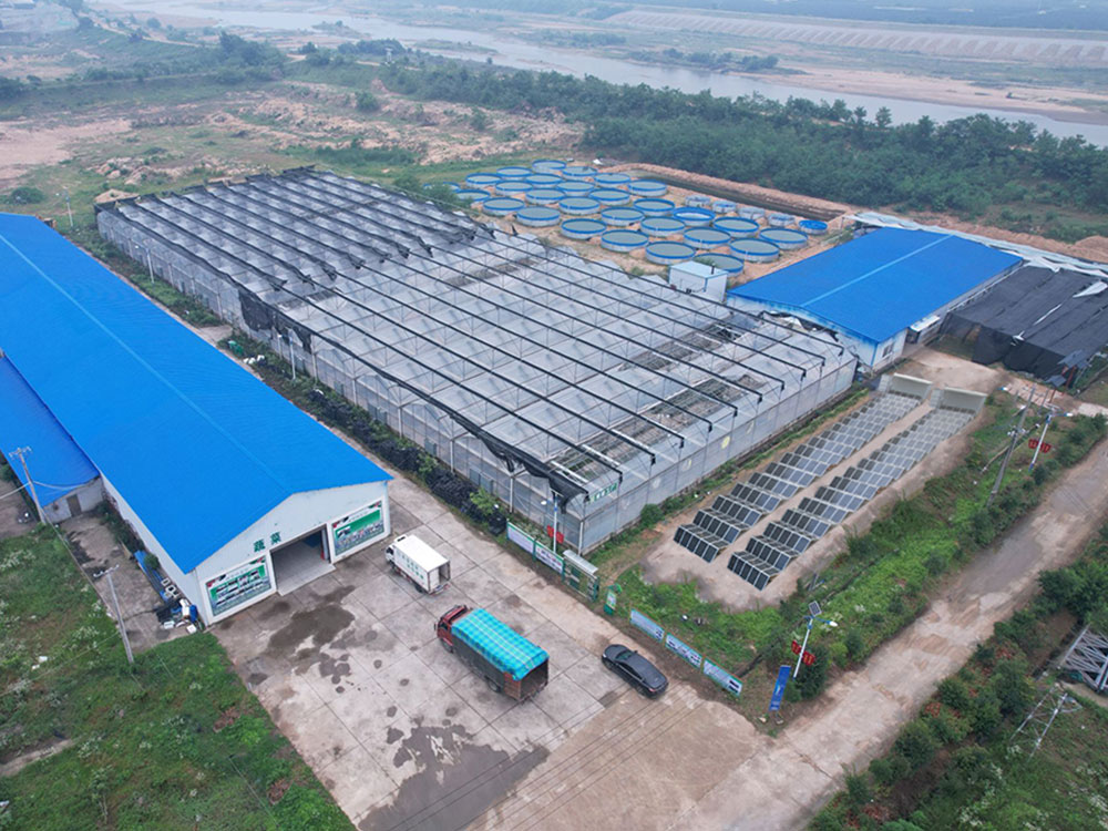 Solar Power Containers for Vlastné napájanie